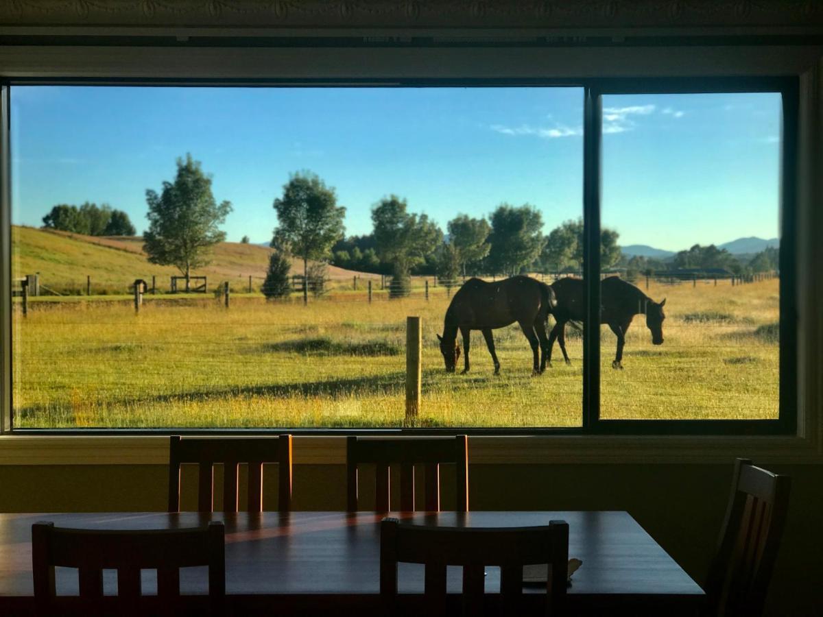 Kepler Oaks Chalet Te Anau Exterior foto